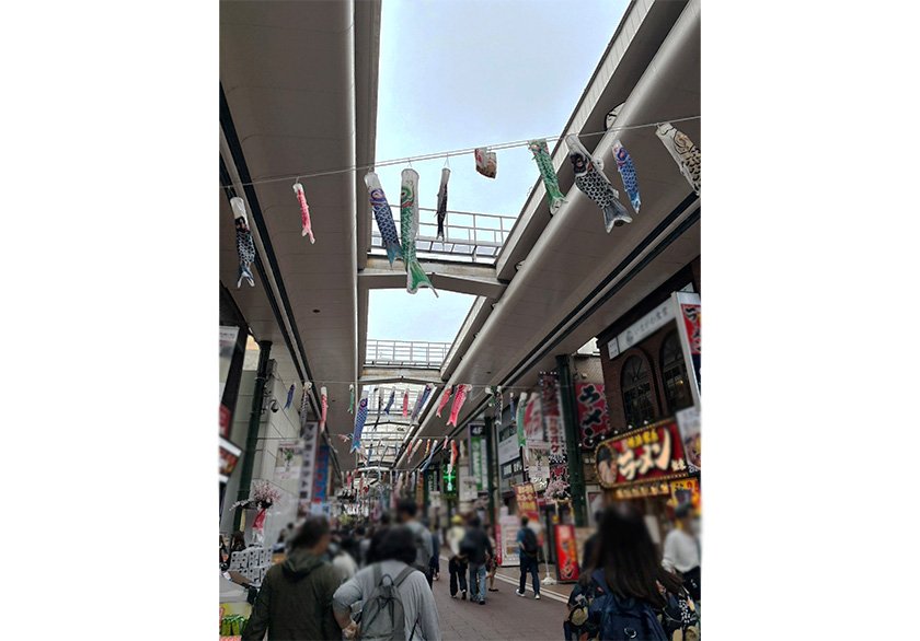 koinobori.jpg